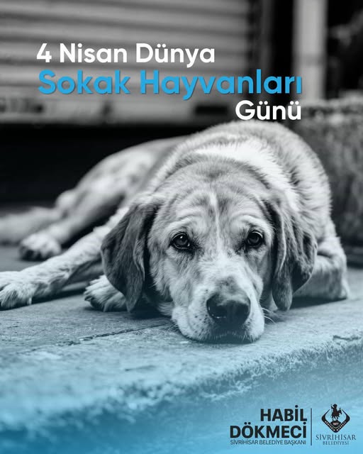 4 Nisan Dünya Sokak Hayvanları Günü’nde, sokakta yaşayan can dostlarımızın yaşam hakkına saygı duymanın ve onları korumanın insani bir görev olduğunu bir kez daha hatırlıyoruz.